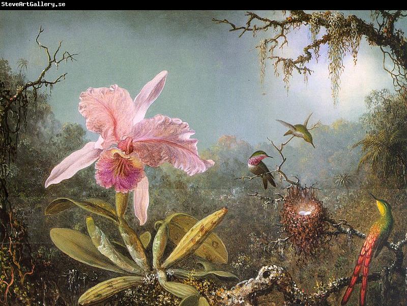 Martin Johnson Heade Cattleya Orchid Three Brazilian Hummingbirds